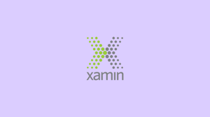 Xamin