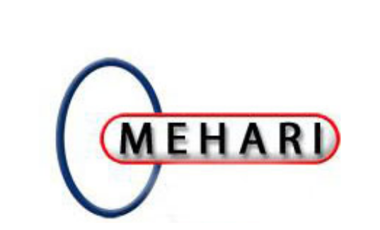 MEHARI 2010: Processing guide for risk analysis and management