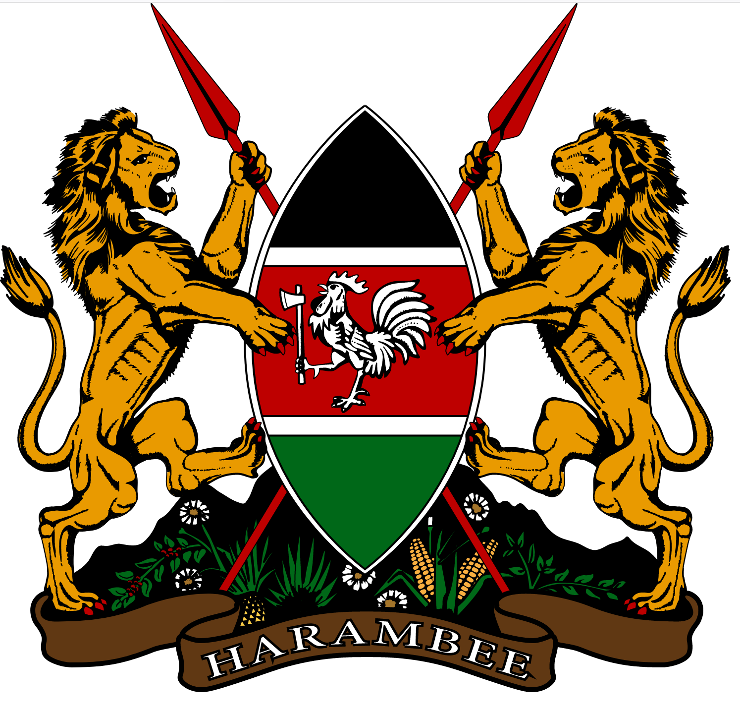 Kenya Data Protection Act