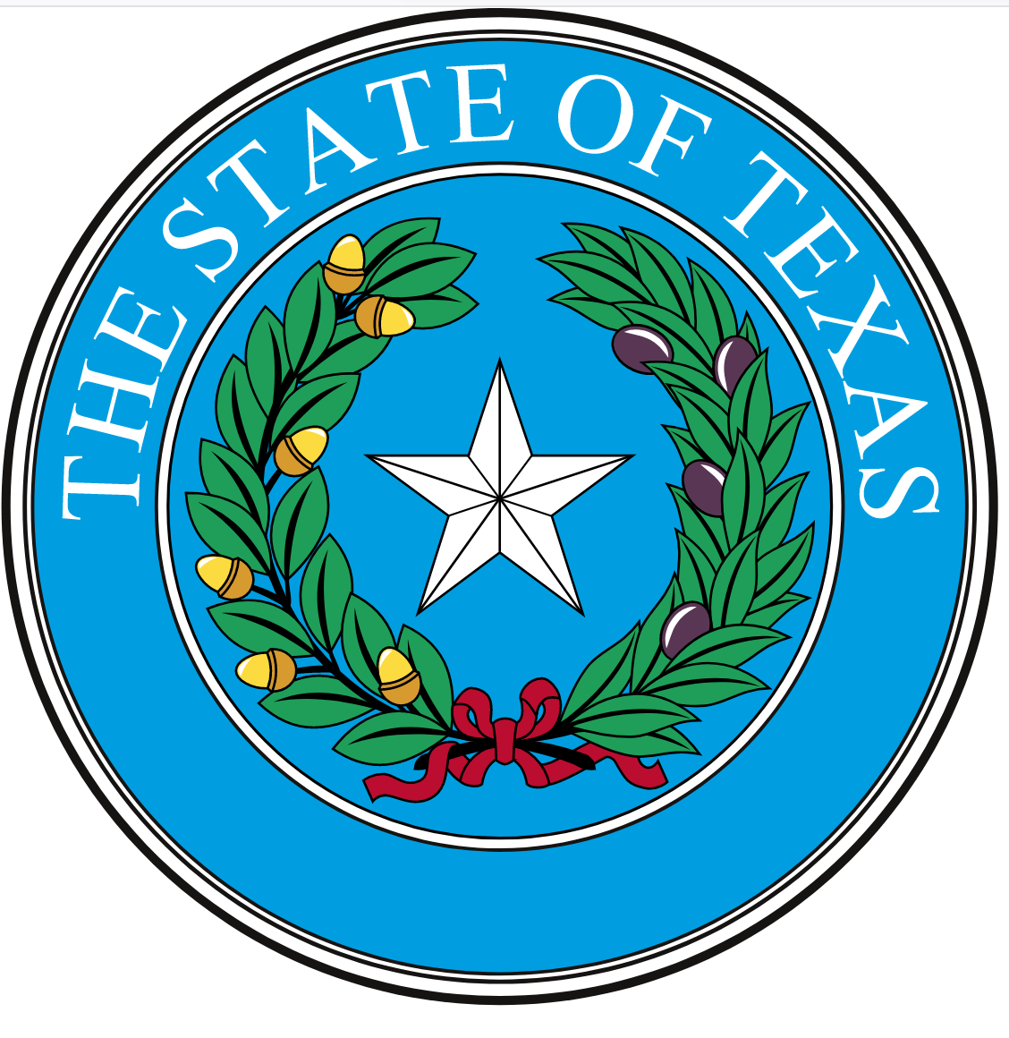 Texas - Identity Theft Enforcement and Protection Act